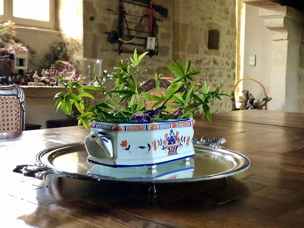 Bed and Breakfast Logis De La Touche Saint-Hilaire-des-Loges Esterno foto